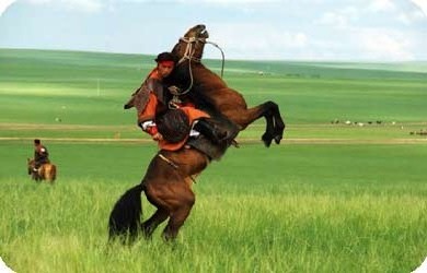 Inner mongolia adventure tour