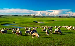 beijing to inner mongolia tour