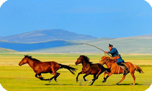 Inner Mongolia Group Tour