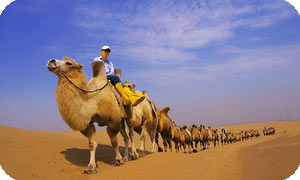 Inner Mongolia Group Tour