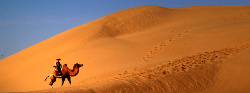 kubuqi desert