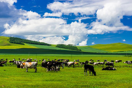 Top Things to Do in Inner Mongolia